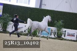 25R13_10402 thumbnail