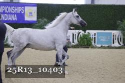 25R13_10403 thumbnail