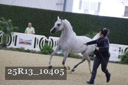 25R13_10405 thumbnail
