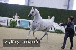 25R13_10406 thumbnail