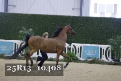 25R13_10408 thumbnail