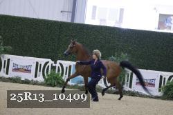 25R13_10409 thumbnail