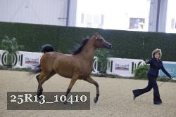 25R13_10410 thumbnail