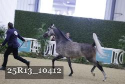25R13_10412 thumbnail