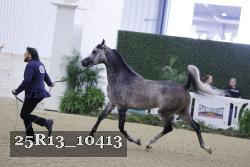 25R13_10413 thumbnail