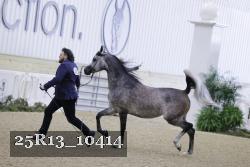 25R13_10414 thumbnail