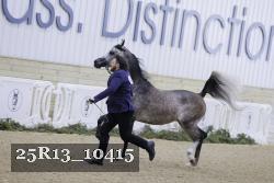 25R13_10415 thumbnail