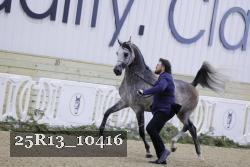 25R13_10416 thumbnail
