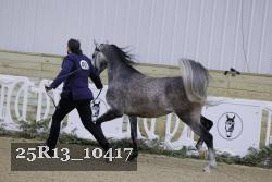 25R13_10417 thumbnail