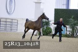25R13_10418 thumbnail