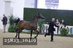 25R13_10419 thumbnail