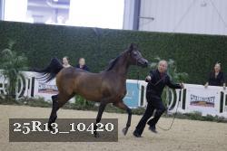 25R13_10420 thumbnail