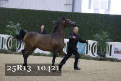25R13_10421 thumbnail