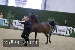 25R13_10423 thumbnail