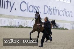 25R13_10424 thumbnail