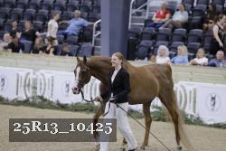 25R13_10425 thumbnail