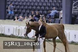25R13_10426 thumbnail