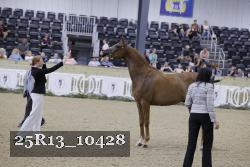 25R13_10428 thumbnail