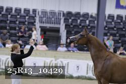 25R13_10429 thumbnail