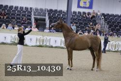 25R13_10430 thumbnail