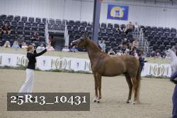 25R13_10431 thumbnail
