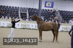25R13_10432 thumbnail
