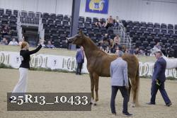25R13_10433 thumbnail
