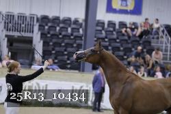25R13_10434 thumbnail