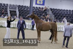 25R13_10435 thumbnail