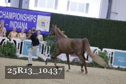 25R13_10437 thumbnail