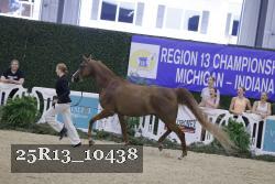 25R13_10438 thumbnail
