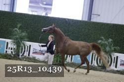25R13_10439 thumbnail