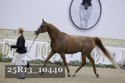 25R13_10440 thumbnail