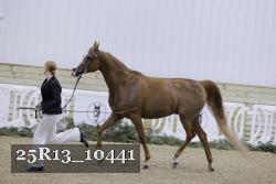 25R13_10441 thumbnail