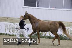 25R13_10443 thumbnail