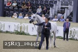 25R13_10445 thumbnail