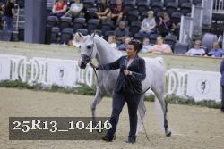 25R13_10446 thumbnail