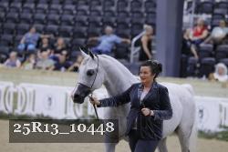 25R13_10448 thumbnail