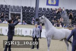 25R13_10449 thumbnail