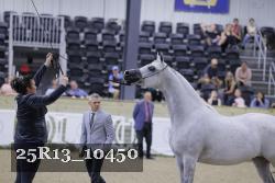 25R13_10450 thumbnail