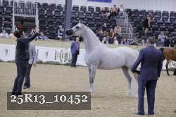 25R13_10452 thumbnail
