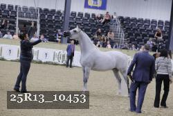25R13_10453 thumbnail