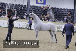 25R13_10454 thumbnail