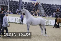 25R13_10455 thumbnail