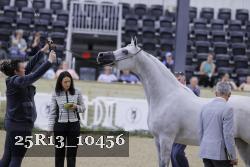 25R13_10456 thumbnail