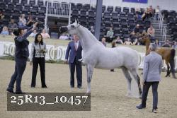 25R13_10457 thumbnail