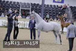 25R13_10458 thumbnail