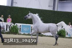 25R13_10459 thumbnail