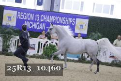 25R13_10460 thumbnail