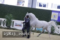 25R13_10461 thumbnail